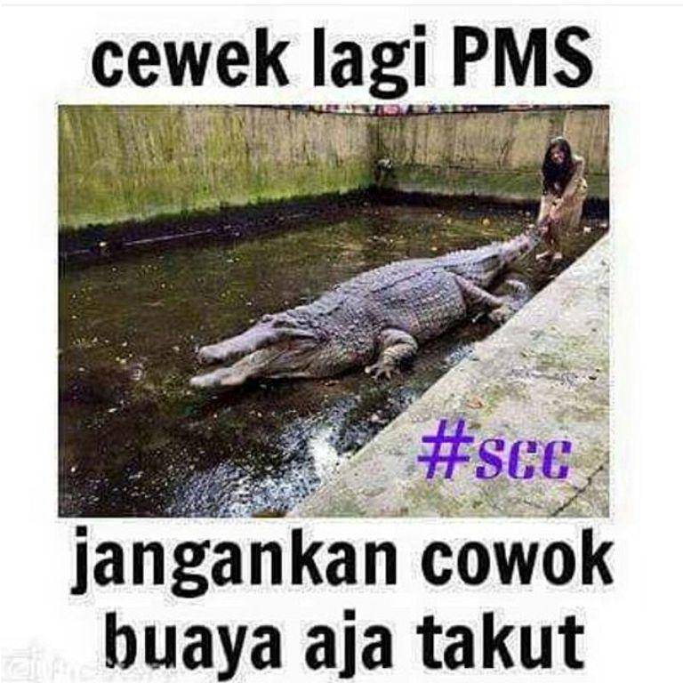 http://cdn.idntimes.com/content-images/post/20160413/gambarluculagiblogspotcoid-2fa959baf03c6eaa2b749f69510fe9bb.jpg
