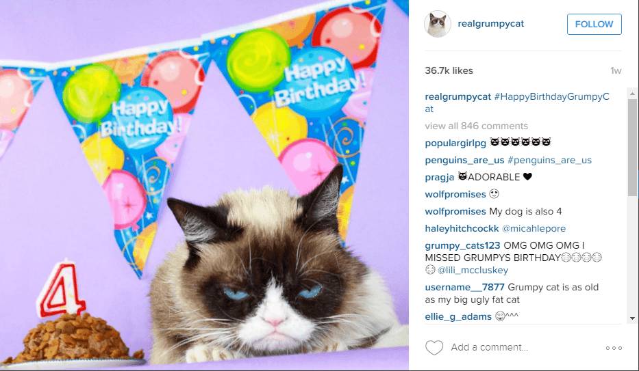 http://cdn.idntimes.com/content-images/post/20160413/grumpycat-76270a9bc01aec673f557781327e2f7a.png
