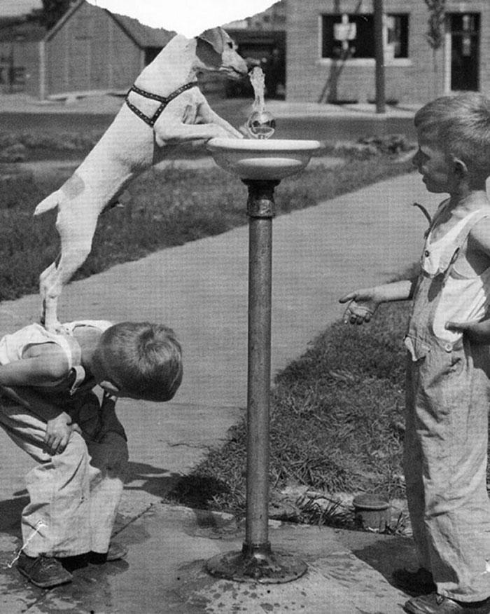 https://cdn.idntimes.com/content-images/post/20170417/heartwarming-historic-photos-5-5873404cddde0-700-b2c03b4635d44d784c08de76441075dd.jpg
