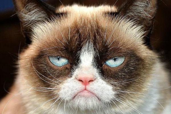 http://cdn.idntimes.com/content-images/post/20160307/hi10-kayeberrywordpresscom-1b6adcbf9257c708ce55ea48c86ef1e6.jpg