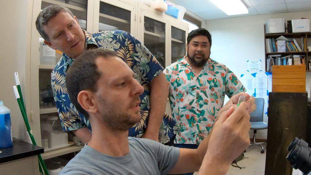 Para peneliti ulat pengumpul tulang (manoa.hawaii.edu/University of Hawaii)