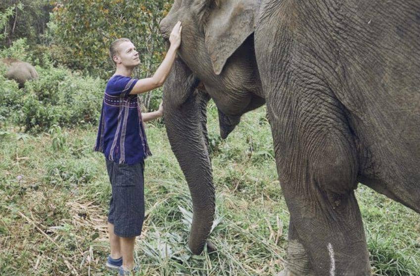 fakta menakjubkan gajah yang menolong kerabat membutuhkan