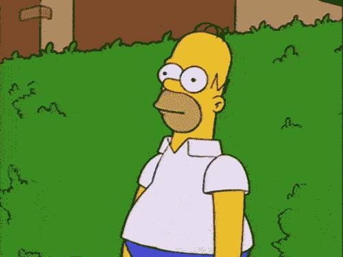 http://cdn.idntimes.com/content-images/post/20160511/imgur-com-06363794f84d64a5c3f4dee5af305dc8.gif