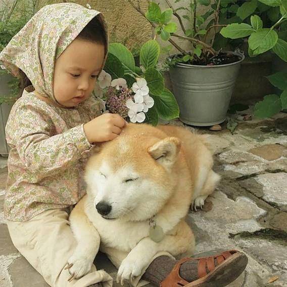 http://cdn.idntimes.com/content-images/post/20160125/imut10-3968ad780f6ebfa466be13e47b30776a.jpg