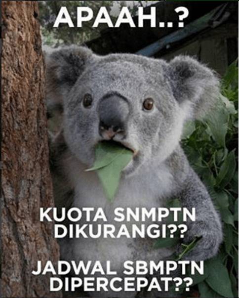 http://cdn.idntimes.com/content-images/post/20160419/insta-zeniuseducation-08689fdb25b6c9bbd2d378e37e9a4d4d.PNG