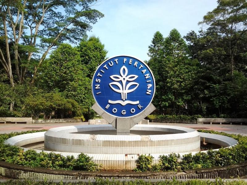 http://cdn.idntimes.com/content-images/post/20160618/institut-pertanian-bogor-55c328eaaa42b55dd5952ba77483bb66.jpg