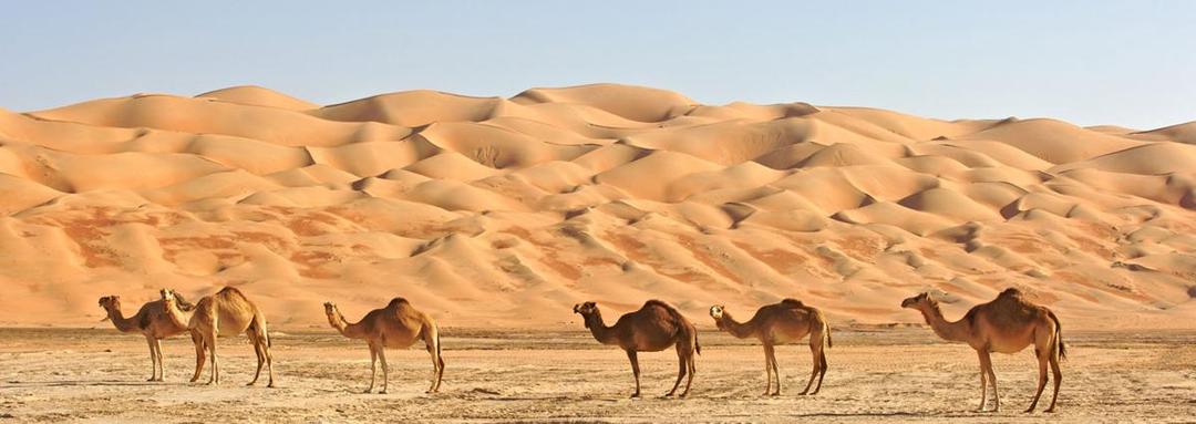 http://cdn.idntimes.com/content-images/blog/20160610/jobs-in-saudi-arabia-2d62eaee68a48570ce61fe133586a49b.jpg