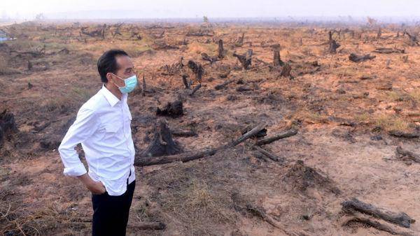 http://cdn.idntimes.com/content-images/post/20151029/jokowiasap1.jpg