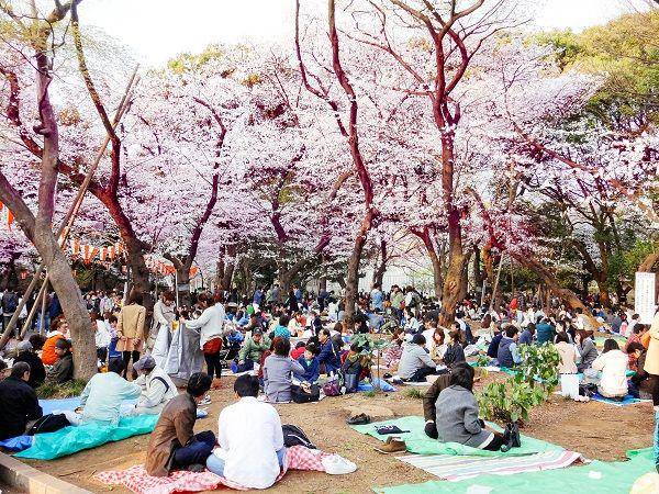 http://cdn.idntimes.com/content-images/post/20160206/jpg12guide2tokyo-92b20b3a96c080674880cc461f1675e2.jpg