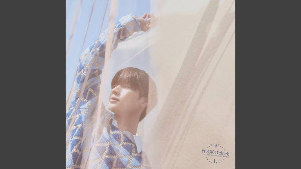 Yook Sungjae BTOB (youtube.com/Yook Sungjae Official)
