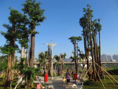 http://cdn.idntimes.com/content-images/post/20150821/kampungpulo14_perawatco.jpg