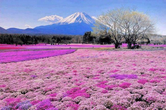 http://cdn.idntimes.com/content-images/post/20160326/kinanti-3-15d2f2f158f1f98dd01ffb19fe6cf77a.jpg