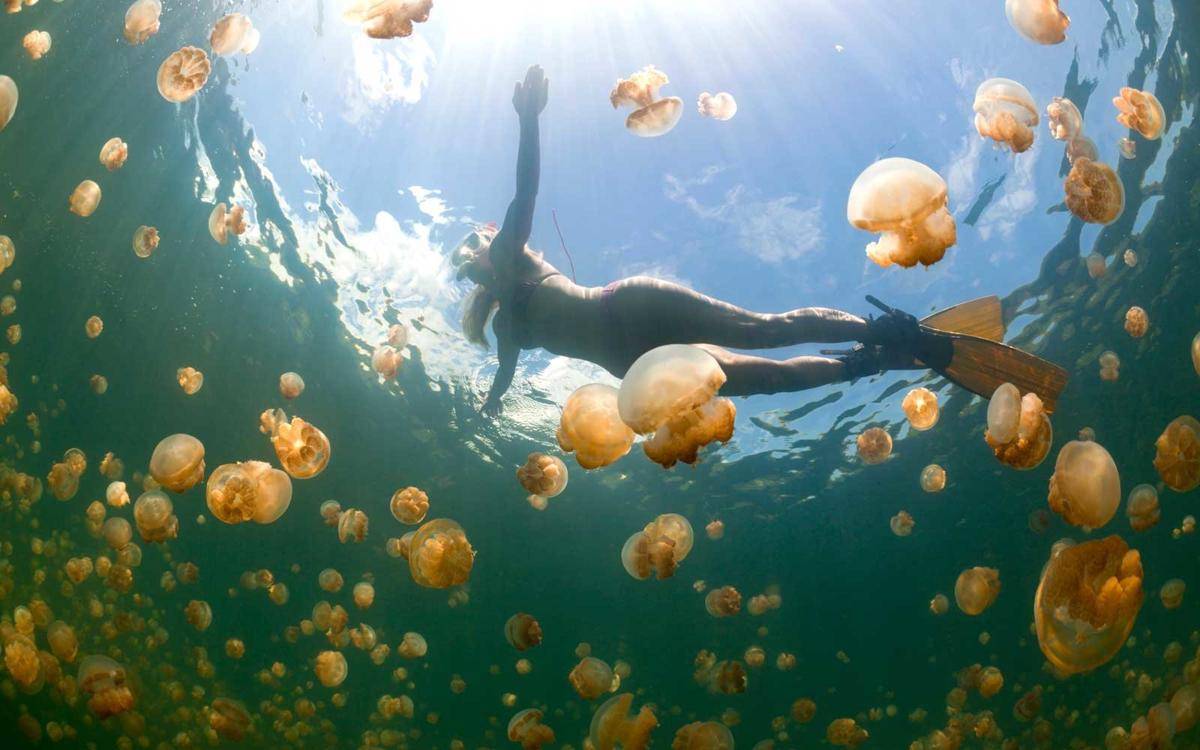 https://cdn.idntimes.com/content-images/post/20180305/kolam10-2da22ca9b3b4eefc312861570d93c5ec.jpg