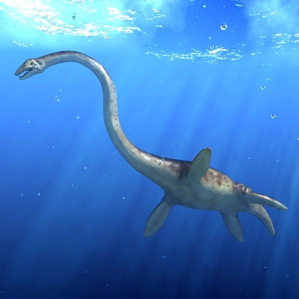 http://cdn.idntimes.com/content-images/post/20160620/kraken-turbo-6b106f9295901b804f24ddf940b3f53a.jpg