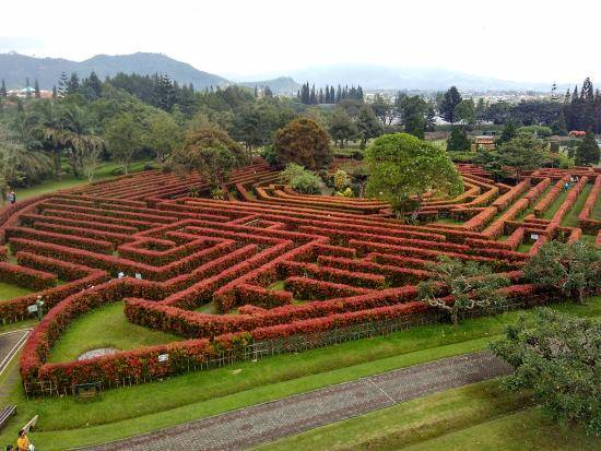 https://cdn.idntimes.com/content-images/post/20180220/labirin-bunga-nusantara-af146a803a00f88a1473ff7a38e7ac5b.jpg