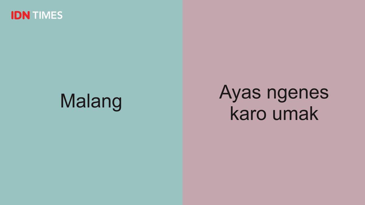 https://cdn.idntimes.com/content-images/post/20170918/malang-9767a212fdc3108fea10de36d3dbffe5.jpg