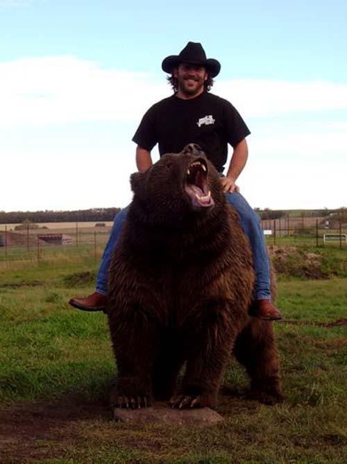 https://cdn.idntimes.com/content-images/post/20160926/manliest-man-riding-bear-3fd860f2e47334197d8041d055d4ee88.jpg