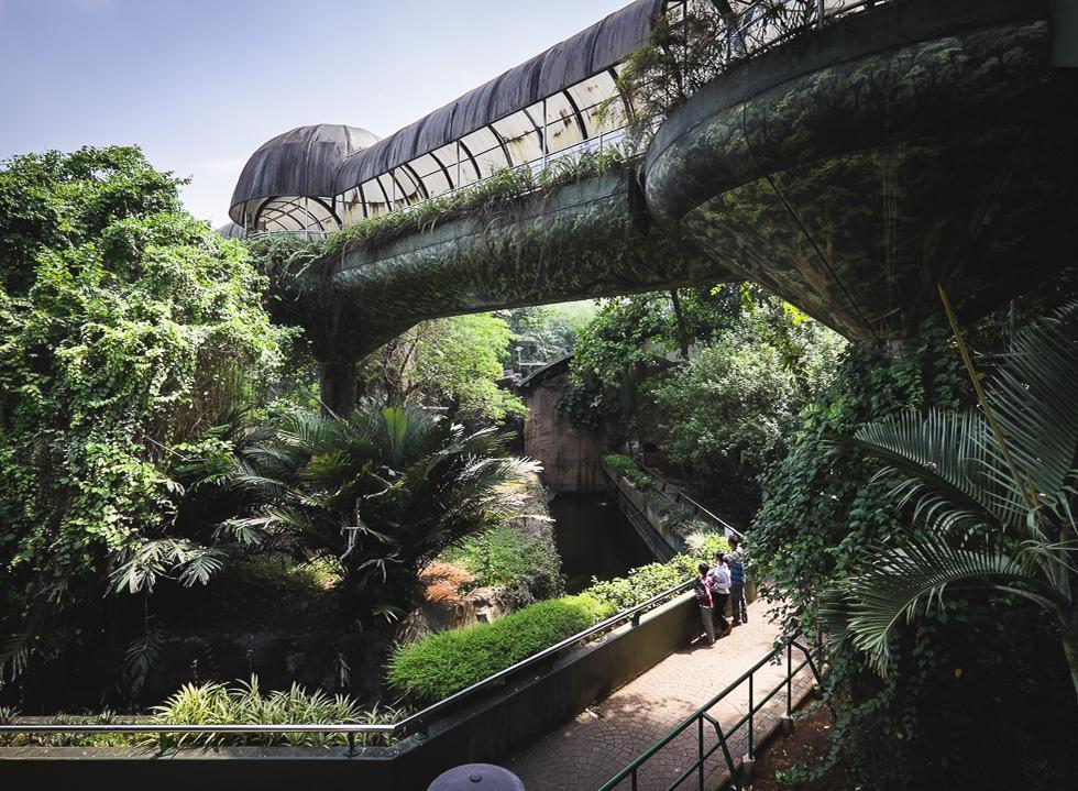 http://cdn.idntimes.com/content-images/post/20160725/manual-spot-ragunan-11-ea3298f6886fd2bc03fa1935852ad3a3.jpg