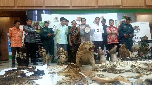 http://cdn.idntimes.com/content-images/post/20160505/mongabay-coid-30227af8cad5406067ff8bbb379a9899.jpg