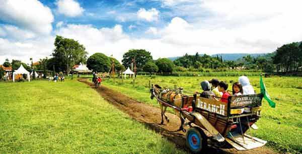 http://cdn.idntimes.com/content-images/post/20160208/naik-delman-di-deranch-lembang-36388d7cfaa92b80ad00ab35f3d26de2.jpg