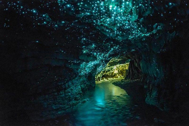 http://cdn.idntimes.com/content-images/post/20160426/newzealand-0bd2a7304682a9f93dee42cc39ecb2af.jpg