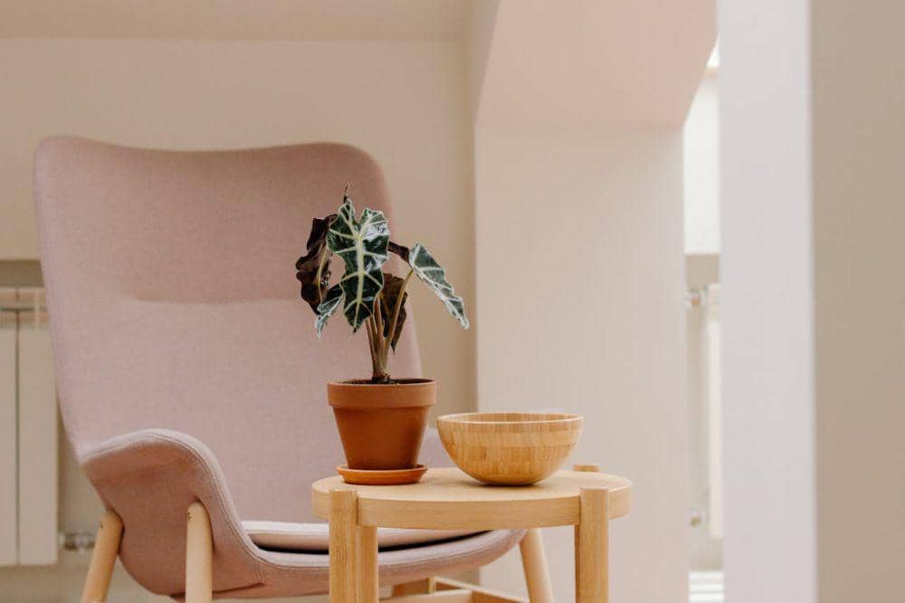 ilustrasi desain interior rumah (pexels.com/cottonbro studio)