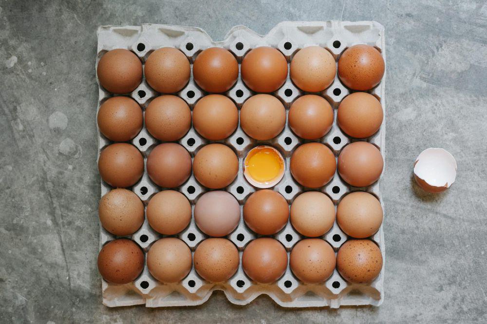 ilustrasi telur yang fresh (pexels.com/Klaus Nielsen)