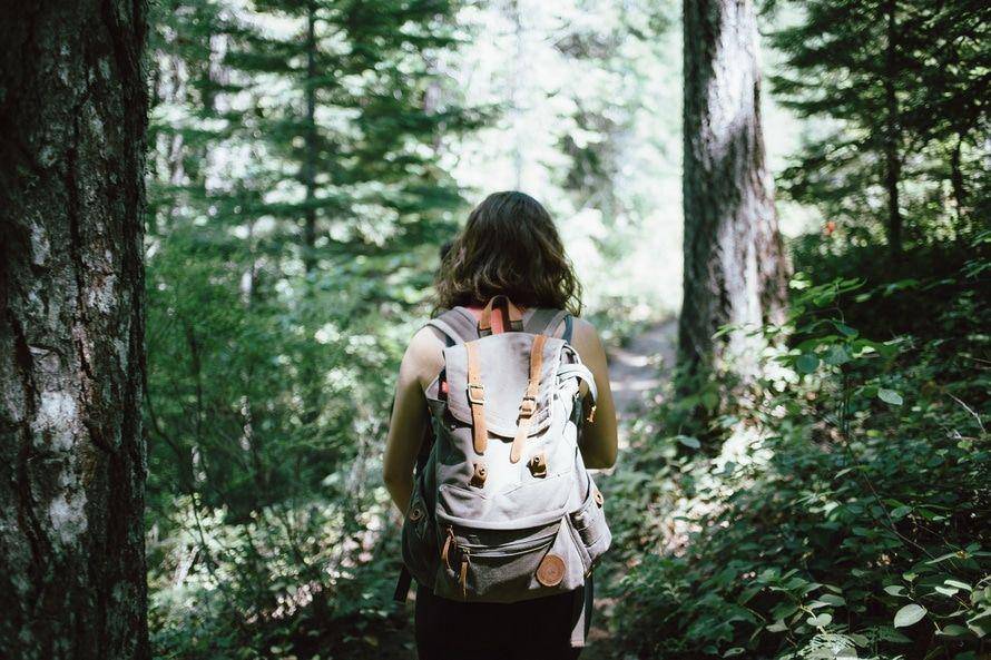 http://cdn.idntimes.com/content-images/post/20160407/pexels-pexels-photo-large-2-7670309ec77e8e13a4a6d9f332705af1.jpg