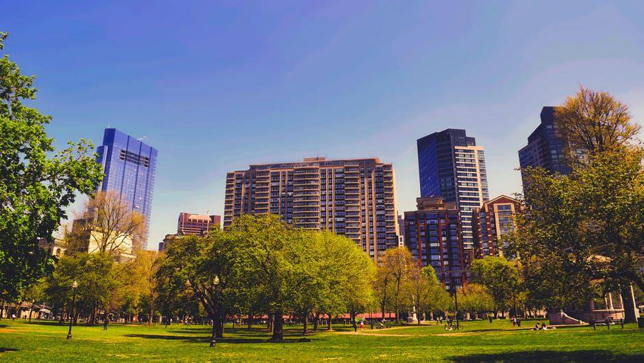 https://cdn.idntimes.com/content-images/post/20180212/pexels-photo-301643-1920c901c76ee881b1ece94b70ce175a.jpeg