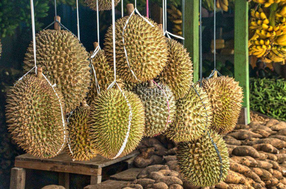 Ilustrasi Durian (Pexels.com/Tom Fisk)