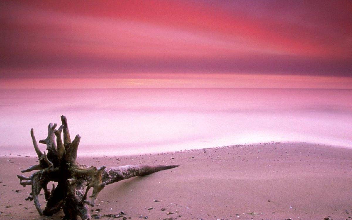 http://cdn.idntimes.com/content-images/post/20160331/pink-beach-palingyesscom-eb10ba8cefc57edcf52167dadae3948e.jpg