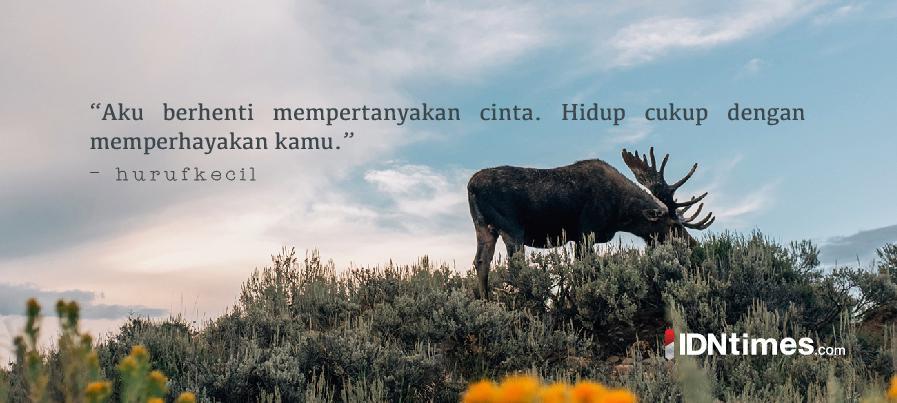 http://cdn.idntimes.com/content-images/post/20160714/quotes21-line-76a2d5bb67c16e52a0327bb1814bf36b.jpg