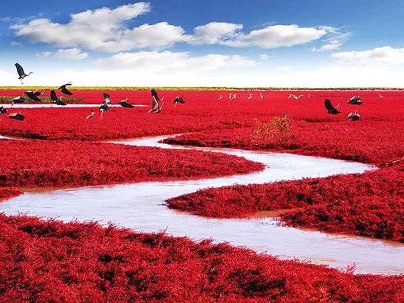 http://cdn.idntimes.com/content-images/post/20160426/redbeach-80ce6cd0e70ef998ae3b0c8f6f43364c.jpg