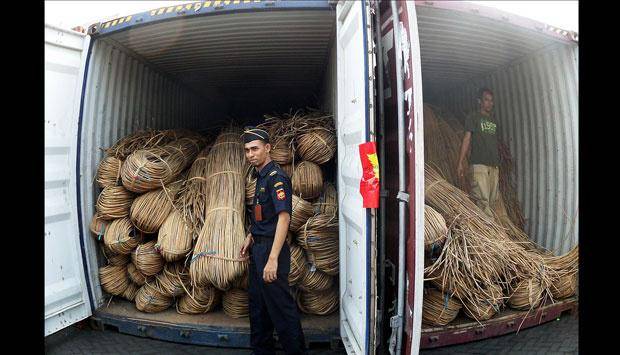 https://cdn.idntimes.com/content-images/post/20170510/rotan-9e42a277b5f9188d43687934dace1ad8.jpg