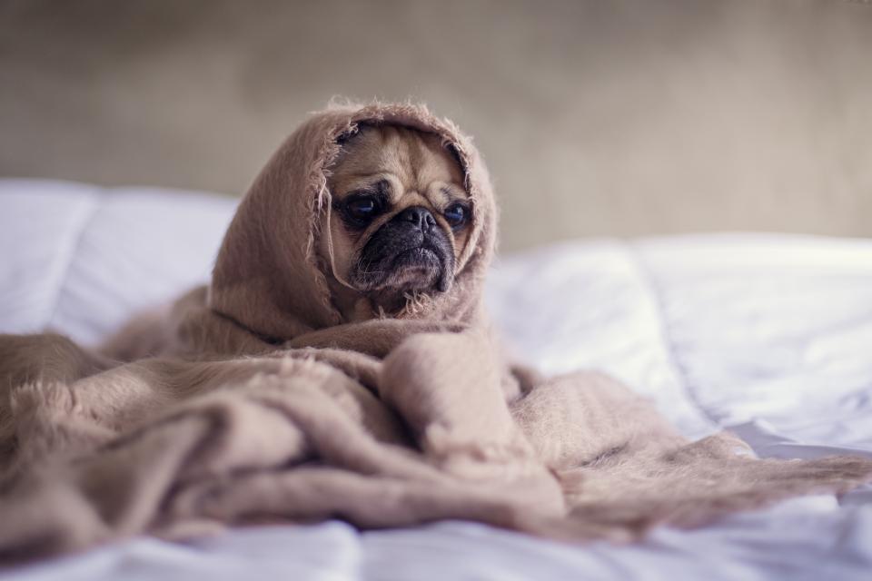 http://cdn.idntimes.com/content-images/post/20160616/sad-a40e53d961c5bd802a226e928a86fb13.jpg