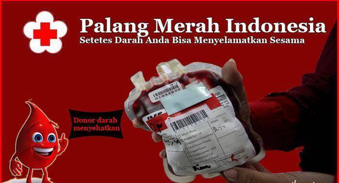 http://cdn.idntimes.com/content-images/post/20151230/saibumi-be5e57d011654e979194288be3fcda32.jpg