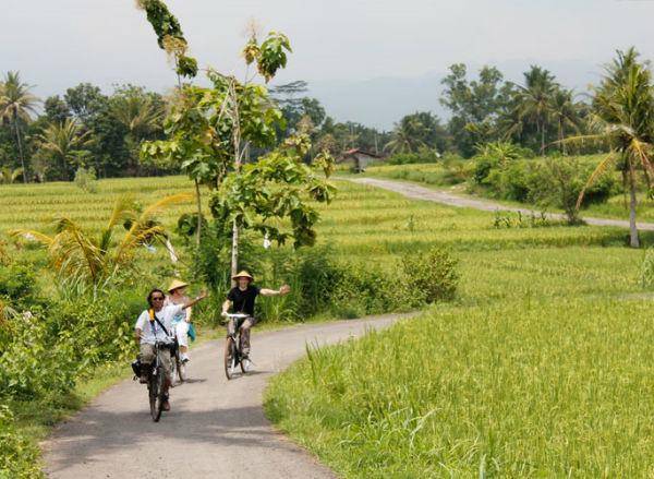 http://cdn.idntimes.com/content-images/post/20160130/sawah10-visitingjogjacom-4c5b3e45405f6fb41d2fe59d1a69ad63.jpg