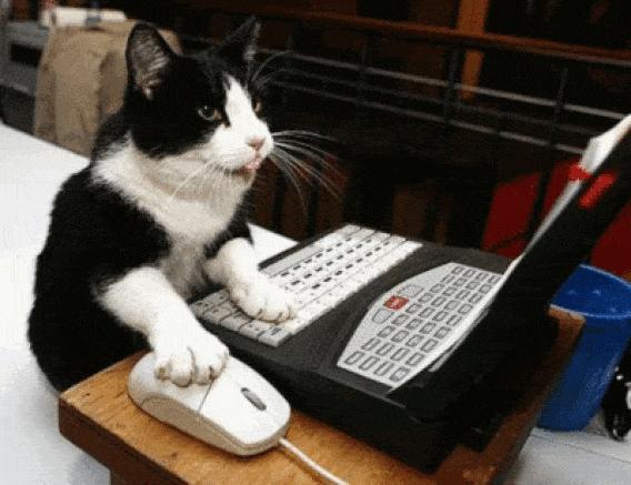 http://cdn.idntimes.com/content-images/post/20160110/sekolahmain-9d02338316b633f568210809aa611ef4.gif