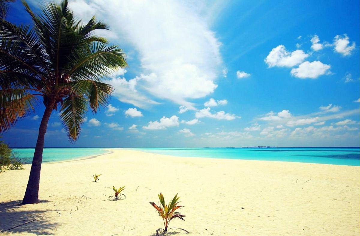 http://cdn.idntimes.com/content-images/post/20160331/seven-mile-guidetropicalcom-ca898ba9d55f2ef641d6fd3ebead4f52.jpg