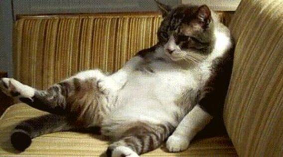 http://cdn.idntimes.com/content-images/post/20151119/sofa-821e9a49908da6ab65cab3f8d05eb112.jpg