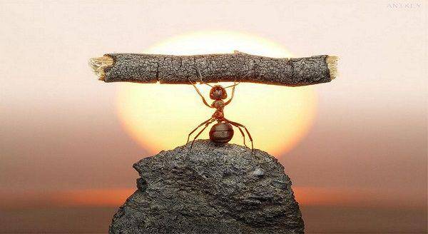 http://cdn.idntimes.com/content-images/post/20160103/successpraxis-752ecc8680b1664c4809f457b4194610.jpg