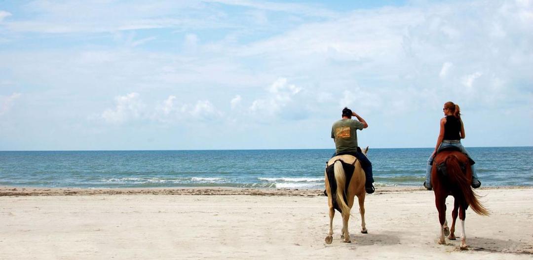 http://cdn.idntimes.com/content-images/post/20160620/sumba1-9dcdabd3cd5bf8774dbc5c22e273b00f.jpeg