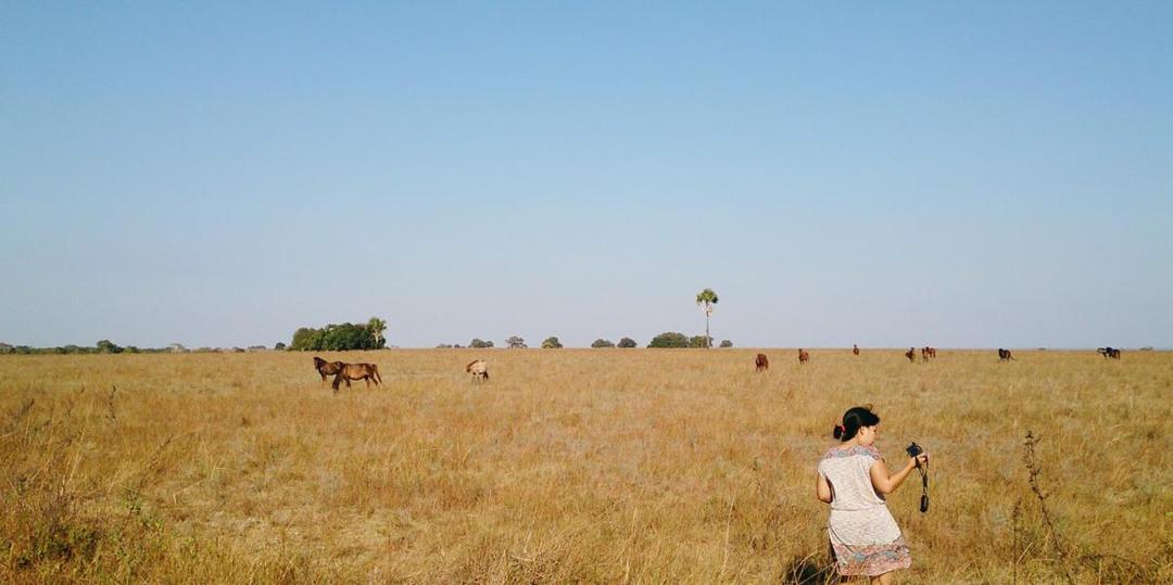 http://cdn.idntimes.com/content-images/post/20160620/sumba2-a266542cbb0572f00c5629ec5486dc92.jpg
