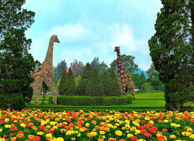 https://cdn.idntimes.com/content-images/post/20171021/taman-bunga-nusantara-8c61f8518b73bc08c70cf591302dc4be.jpg