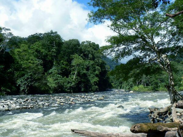 http://cdn.idntimes.com/content-images/post/20160206/taman-nasional-pesolekhurufwordpresscom-w600-h1000-174705f96f3bdf8fbb27f6f83f7825fb.jpg