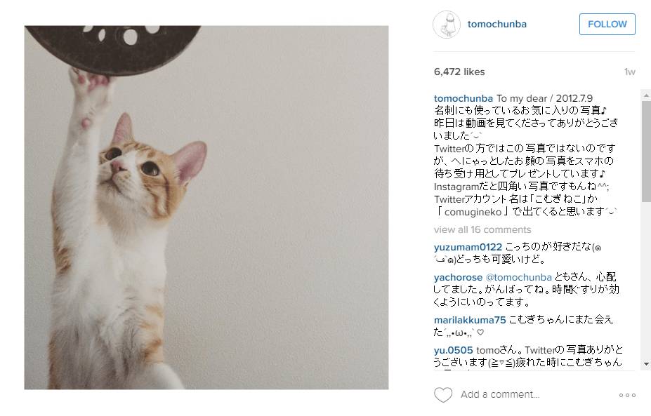 http://cdn.idntimes.com/content-images/post/20160413/tomochunba-5af287349382506dd040fcaf8f6384b6.png