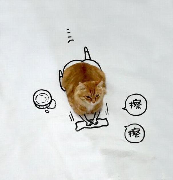 http://cdn.idntimes.com/content-images/post/20151210/too-crazy-the-new-portrait-of-lovely-cat-through-creative-drawing-of-young-people2-605-a46eb46748b7017d884e96d1e0d869dd.jpg