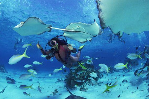 http://cdn.idntimes.com/content-images/post/20160224/travel-detik-com-0632b8385507be53479a81cbbc9dbf1d.jpg