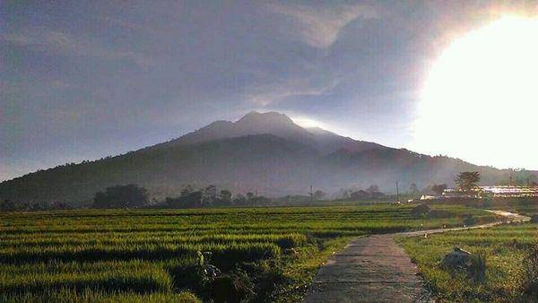 http://cdn.idntimes.com/content-images/post/20160318/ungaran-twitter-ungaranmountain-afd53e65311cd82e29b4c681f9b42463.jpeg