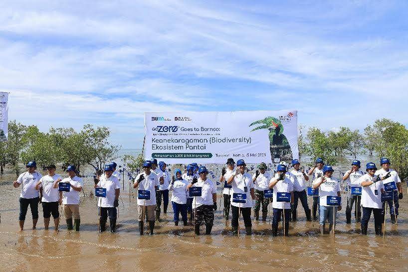Penanaman 5.000 bibit mangrove pada kegiatan GoZero% Goes to Borneo di Pantai Batu Perawan, Tarakan, Kalimantan Utara. (dok. Telkom)